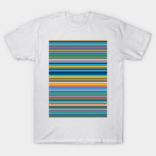 Stray Rainbow T-Shirt